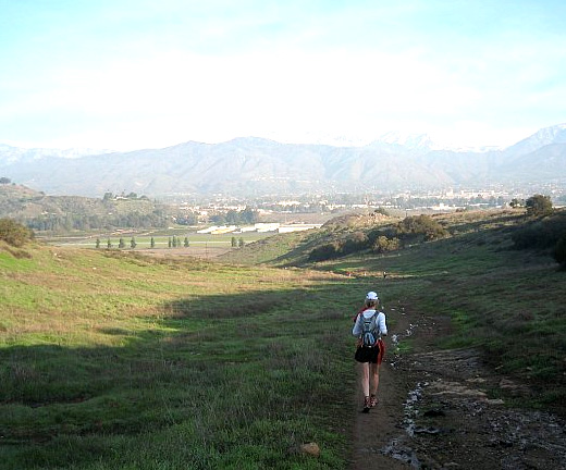 Bonelli Park trail view 2